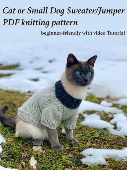 Easy Pet Sweater Knitting Pattern