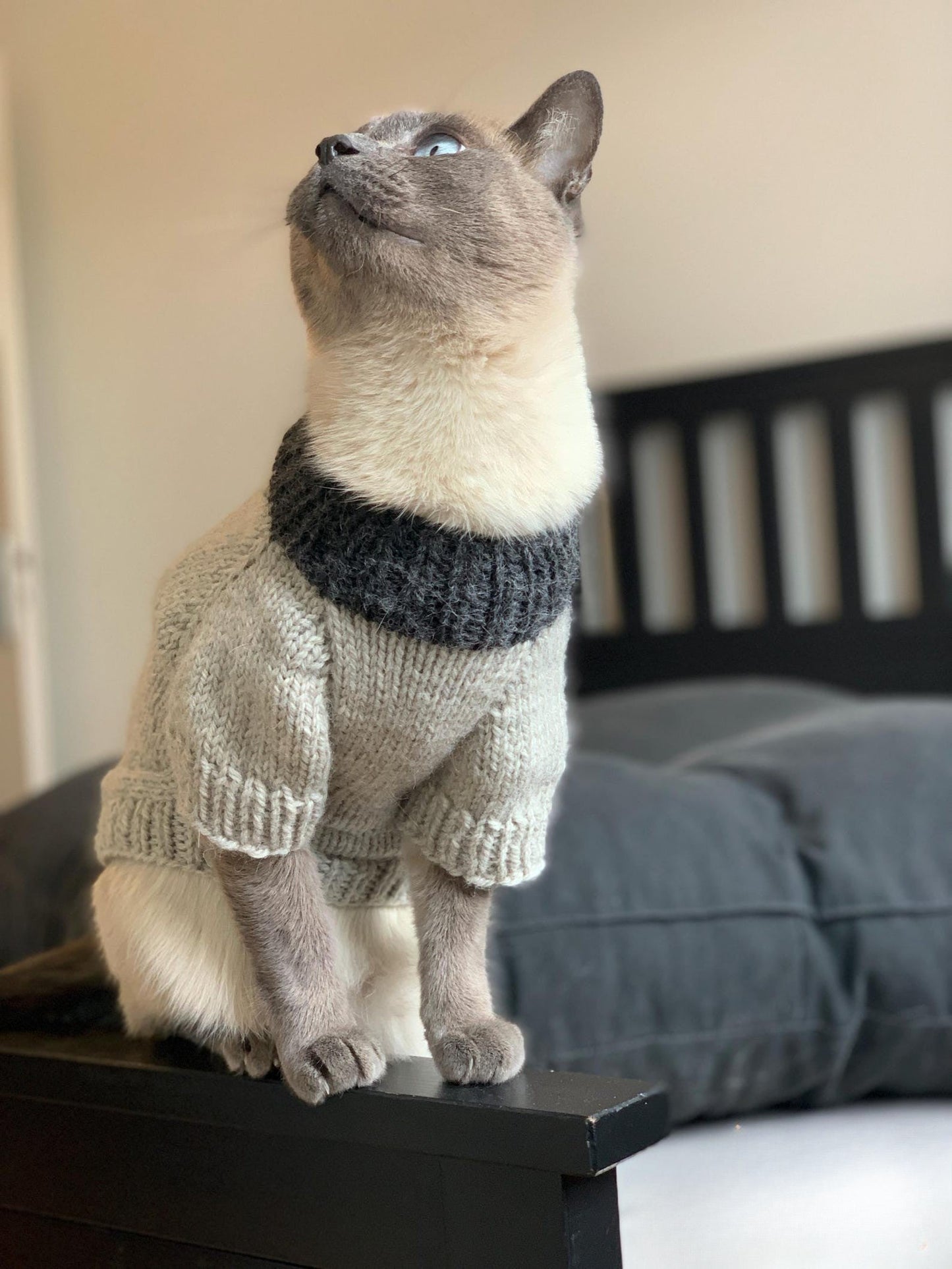 Easy Pet Sweater Knitting Pattern
