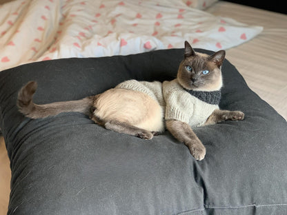 Easy Pet Sweater Knitting Pattern
