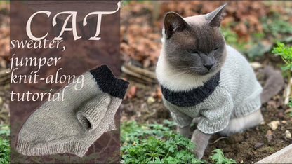 Easy Pet Sweater Knitting Pattern