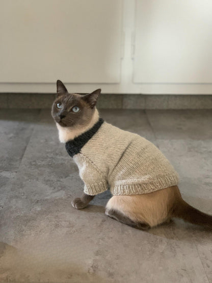 Easy Pet Sweater Knitting Pattern