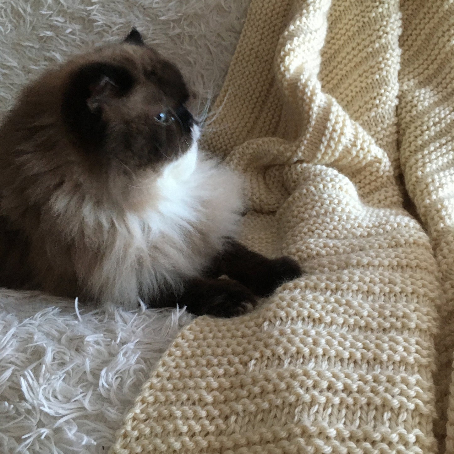 WarmHaven Blanket – Knit Pattern