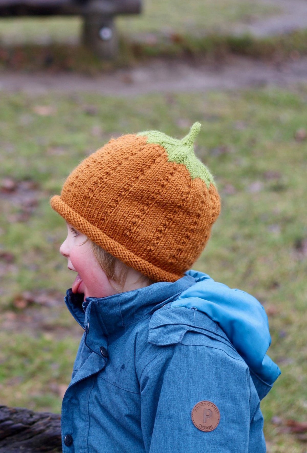 Cozy Pumpkin Hat Knitting Pattern