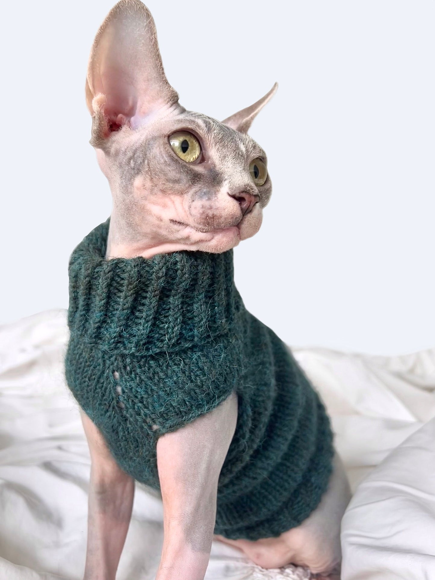 SnugCat Sweater Knittng Pattern