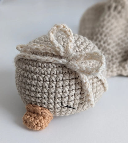 Cute Goose Crochet Pattern