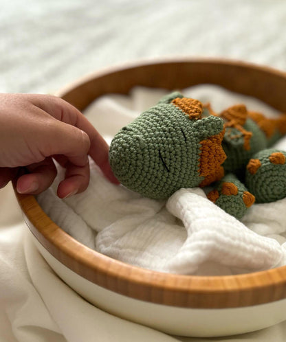 cute dragon crochet Pattern