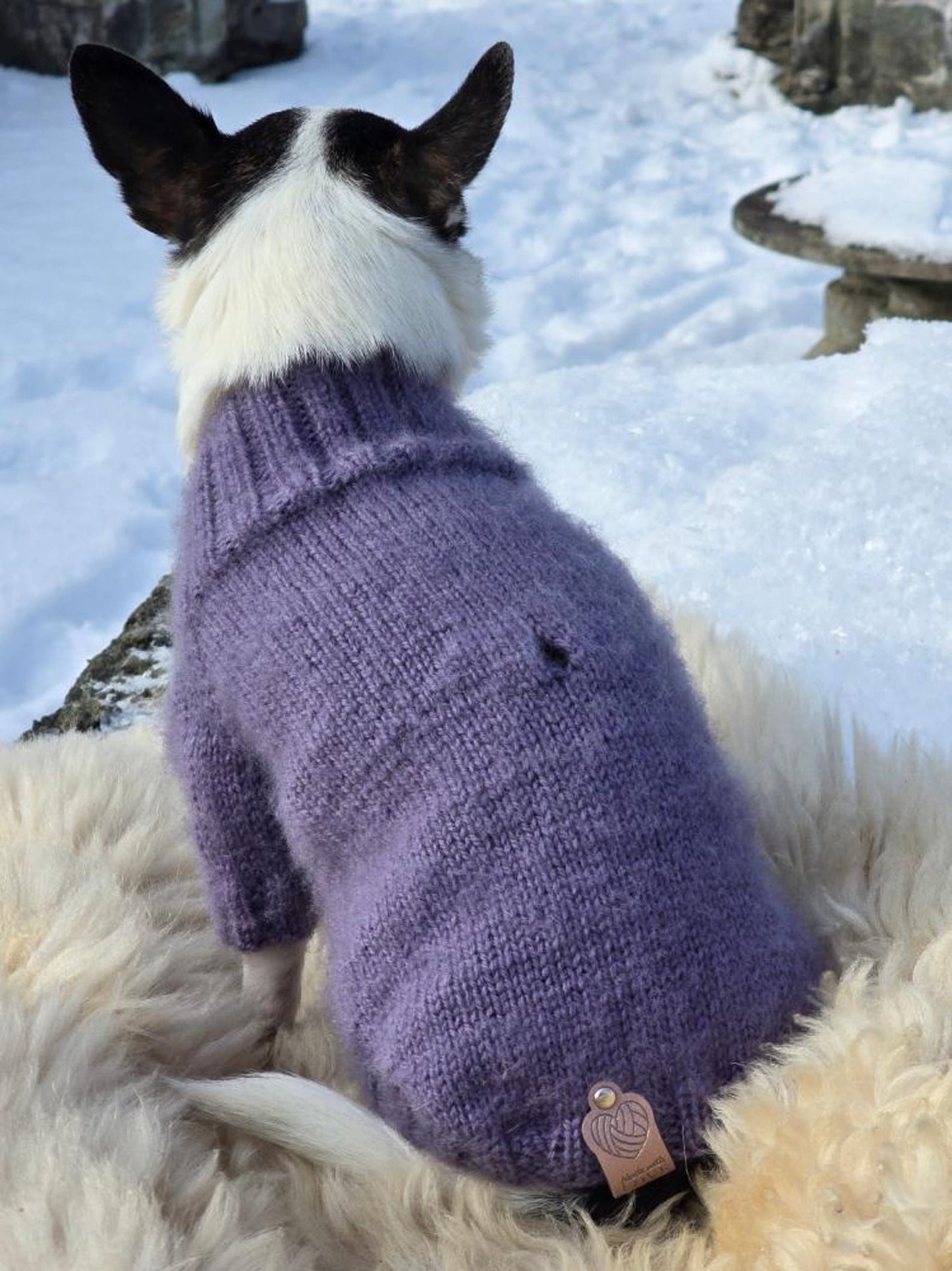 Custom Dog Sweater - Knit Pattern