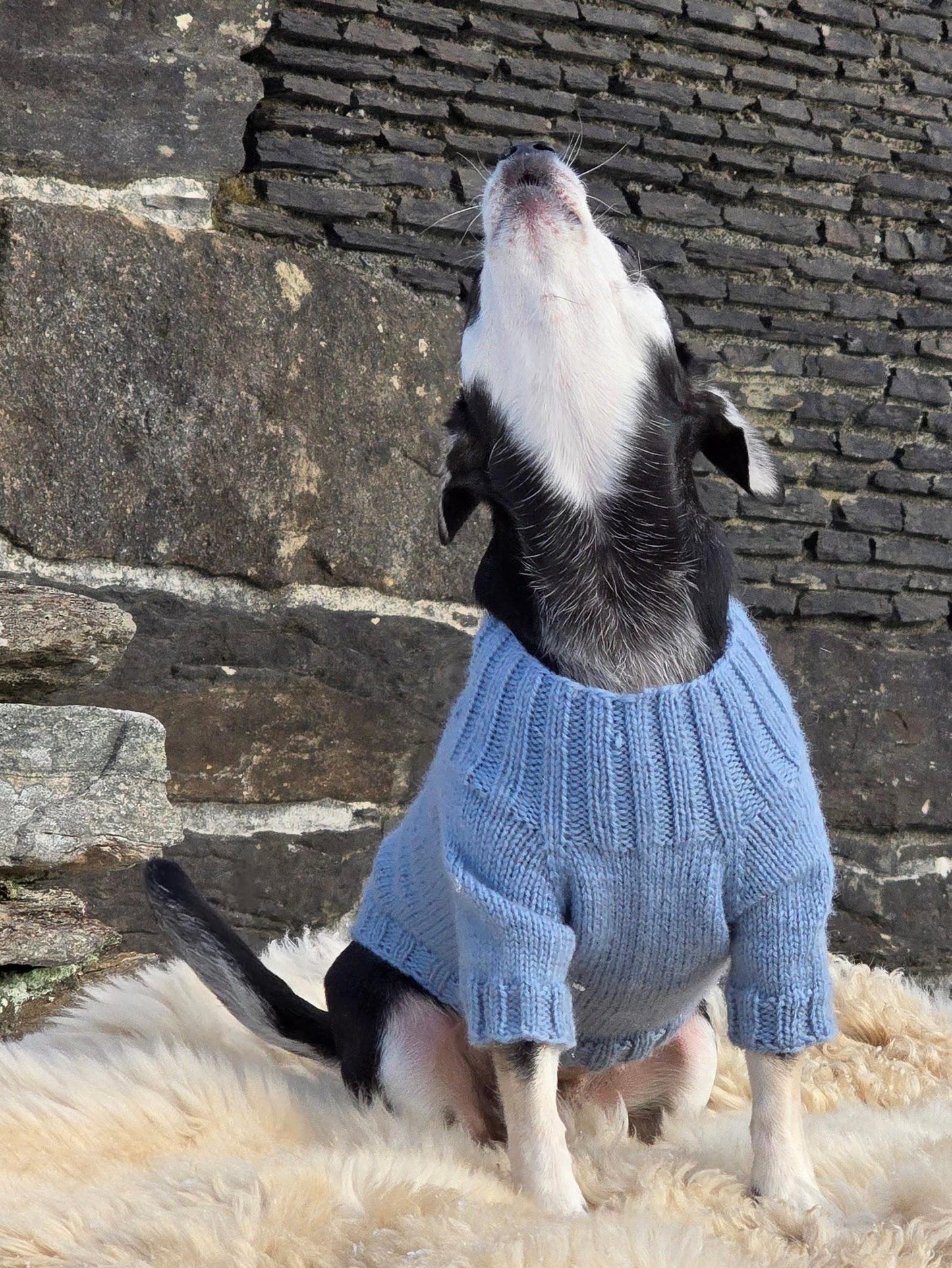 Custom Dog Sweater - Knit Pattern