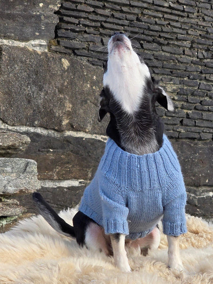 Custom Dog Sweater - Knit Pattern