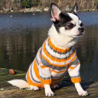 Custom Dog Sweater - Knit Pattern