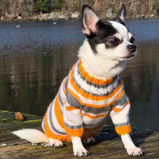 Custom Dog Sweater - Knit Pattern