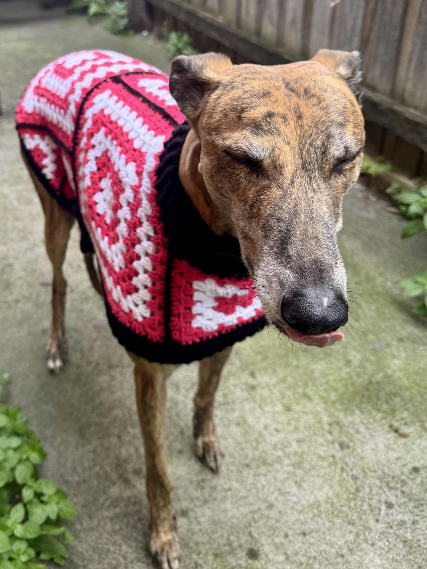 Granny Chic Dog Coat Pattern